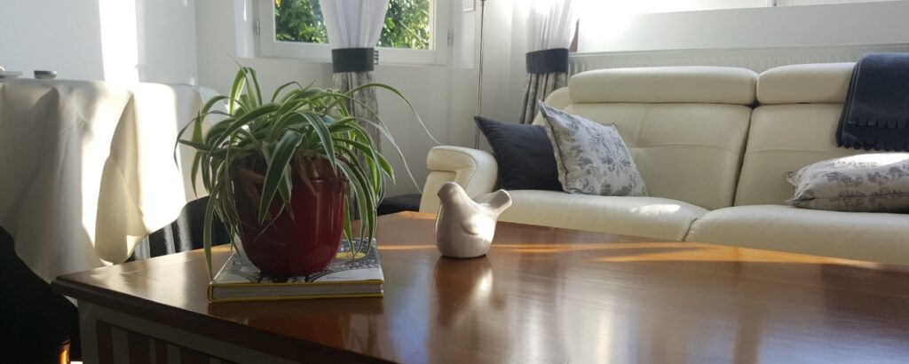 Place à l'élégance