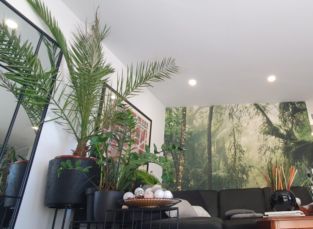 Un coin de jungle au cœur du salon