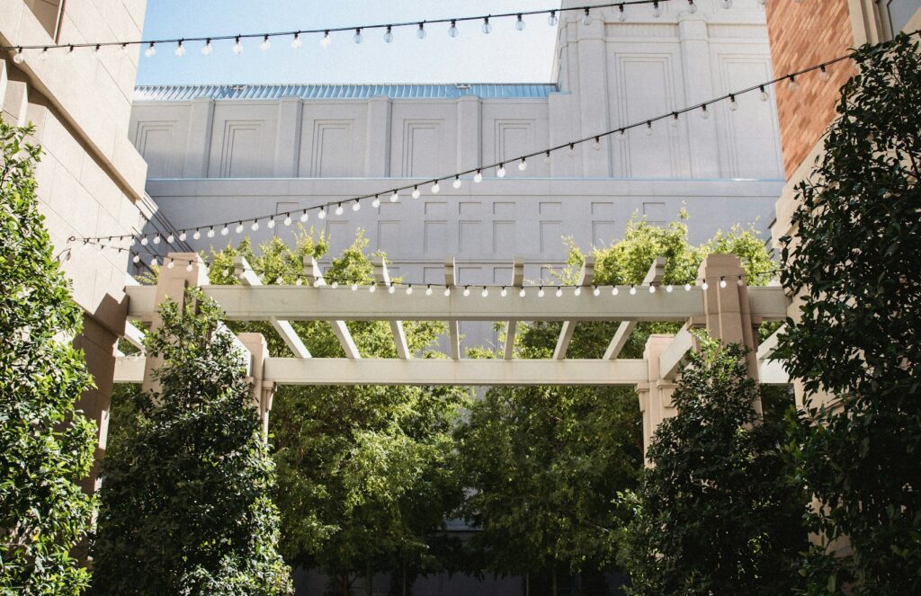 Cour intérieure arborée avec pergola, espace extérieur et végétation
