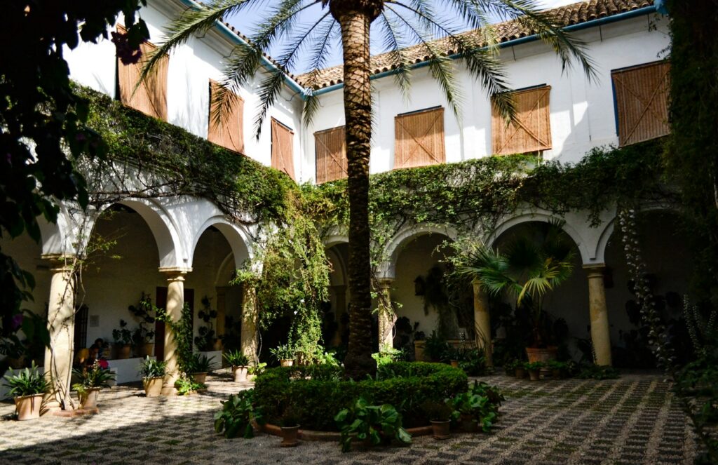Patio méditerranéen arboré avec palmier et architecture en cour intérieure